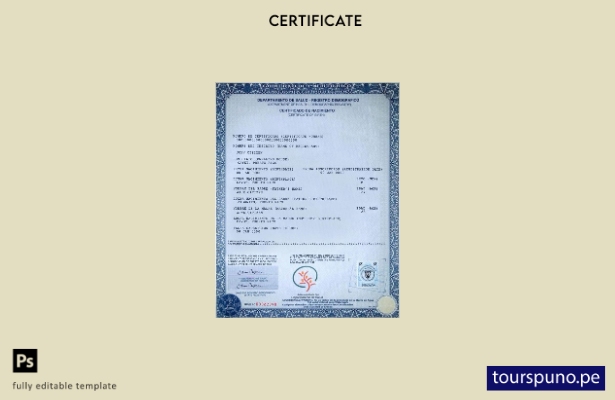 plantilla de certificado de nacimiento de Puerto Rico lista para imprimir